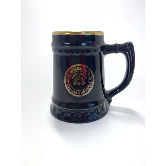 Universitatis Wisconsinensis Sigillum Numen Lumen Stein Shot Glass RARE - Picture 1 of 5